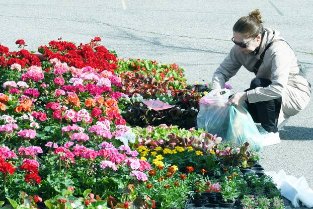 Sisak: Subotnja ponuda cvijećana tržnici