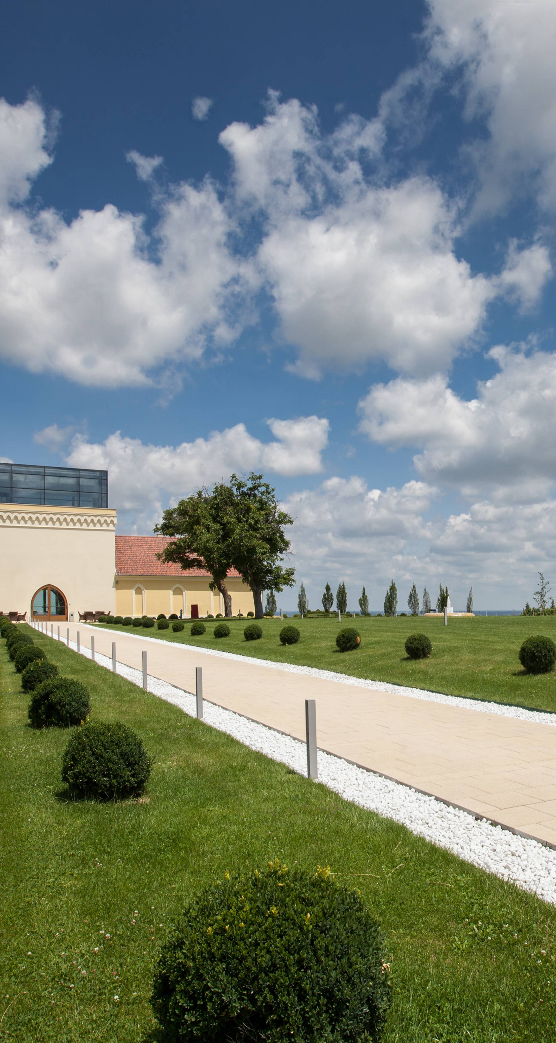 "Iločka berba grožđa" okuplja zaljubljenike u vino