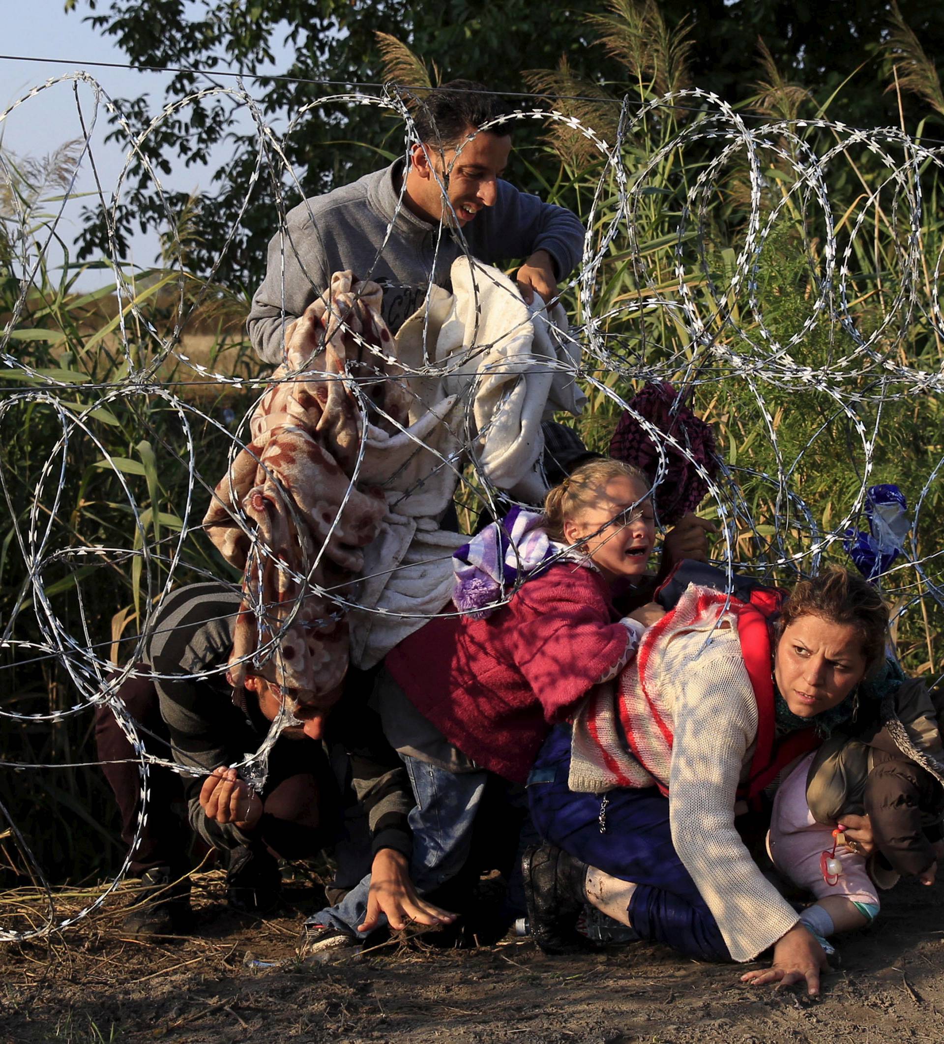 Syrian migrants cross under a fence as they enter Hungary at the border with Serbia, near Roszke