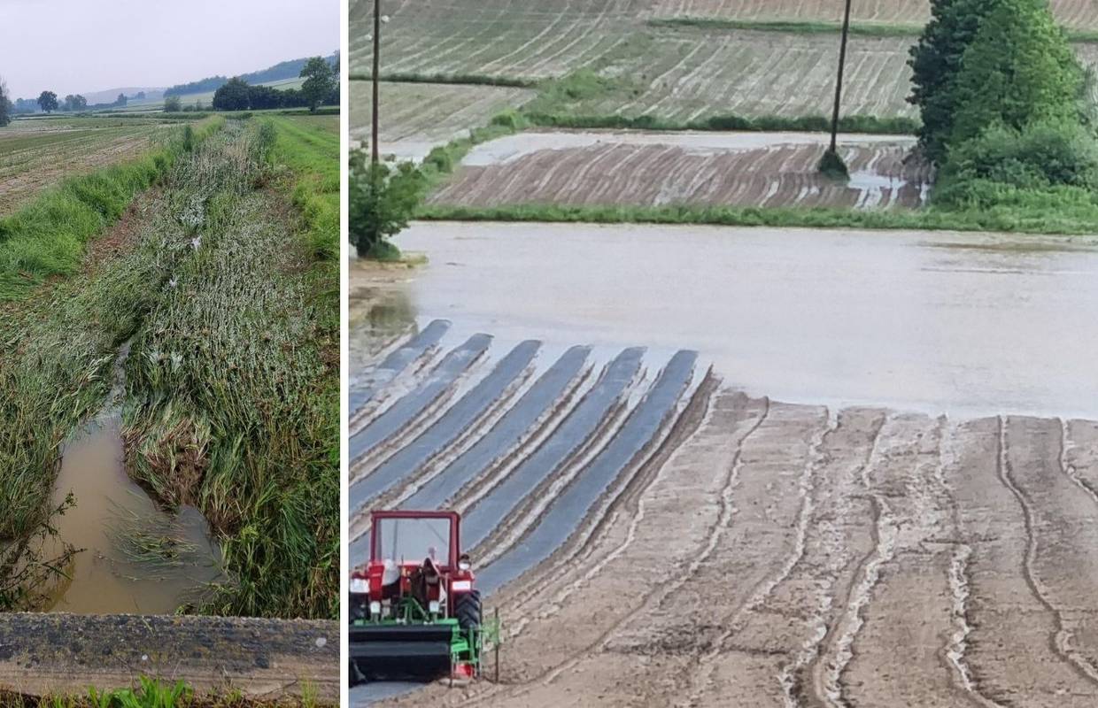 Poplave uništile usjeve u blizini Bjelovara: 'Izgubili smo barem 10.000 eura, ništa ne možemo'