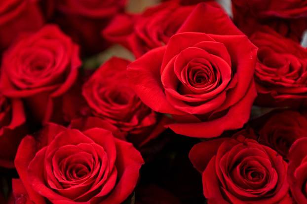 Zagreb: Atelijer sreće u Maloj ulici okićen za Valentinovo 