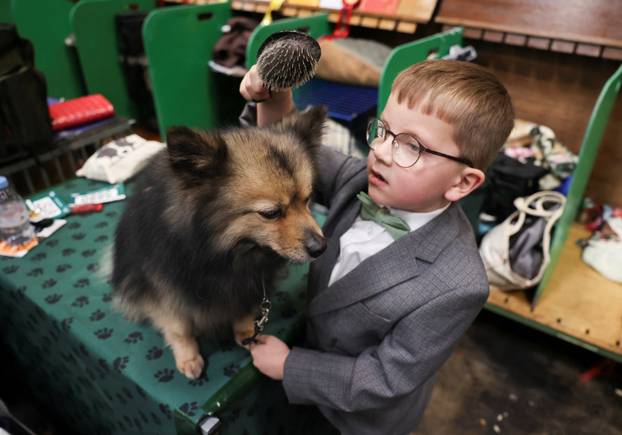 Finley Davis, grooms his German Spitz Mittel before the show on the second day of Crufts dog show in Birmingham