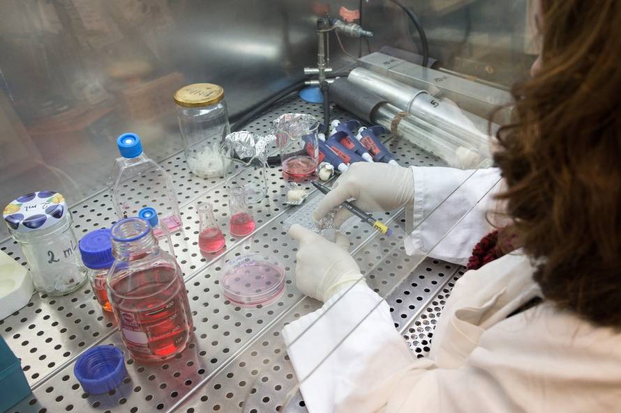 Davor Puklavec/PIXSELL