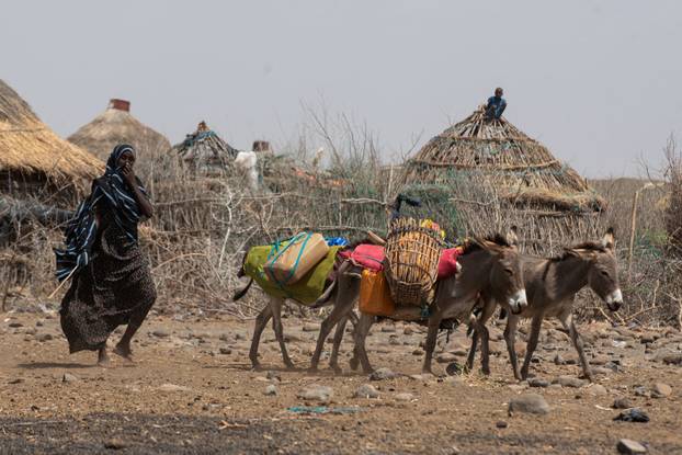 FILE PHOTO: WFP warns millions facing hunger as driest weather in decades ravages Horn of Africa