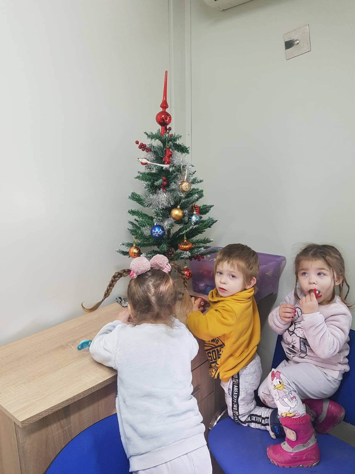 Trojke koje nakon potresa žive u kontejneru u Čučerju dobile željeni bor: 'Hvala vam svima!'