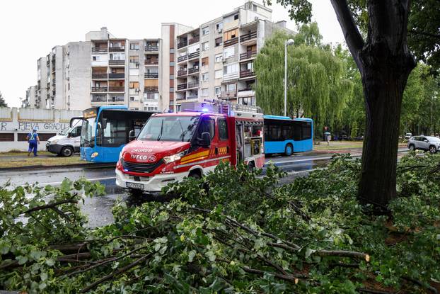 Zagreb: Vatrogasci uklanjaju stablo koje je palo u Ulici Svetog Mateja