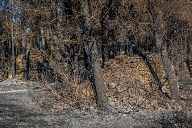 Brač: Posljedice požara u resortu Gava