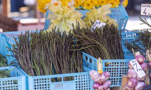 Stigle su prve divlje &scaron;paroge na tr&zcaron;nicu u Puli: Pogledajte cijene
