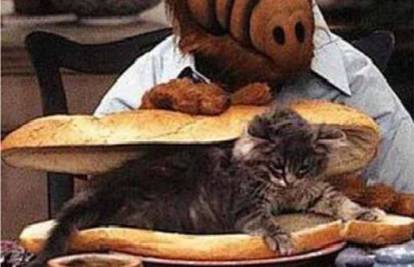 Omiljeni dlakavac Alf koji voli jesti mačke vraća se na TV
