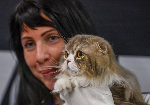 Zagreb: Međunarodna izložba mačaka WCF Cat Olimpia 2025