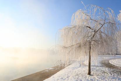 FOTO Snježna idila u Karlovcu: Drveća okovana ledom na -11°C