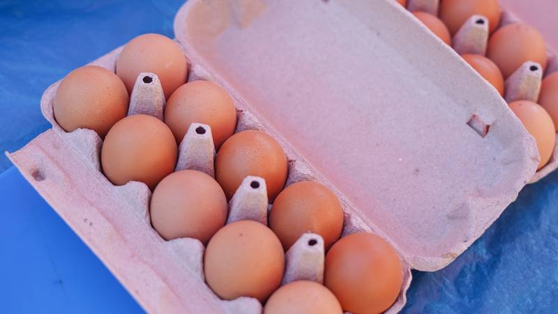 Inspektorat: S tržišta se povlače jaja proizvođača iz Bjelovara - na farmi su pronašli salmonelu