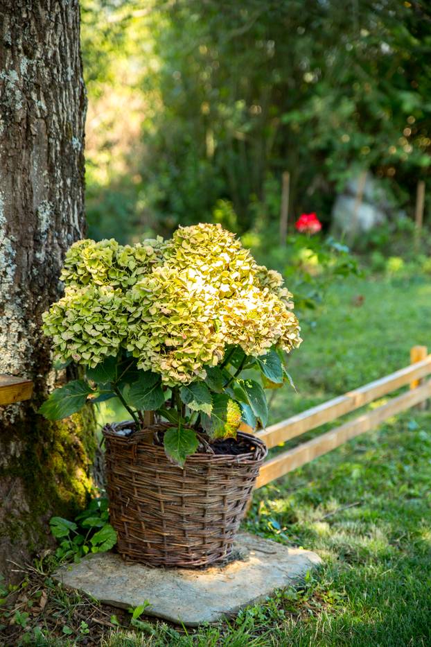 FOTO Kuću za odmor Mali Medo kod rodnog sela Nikole Tesle u Lici okružuje pravi prirodni raj