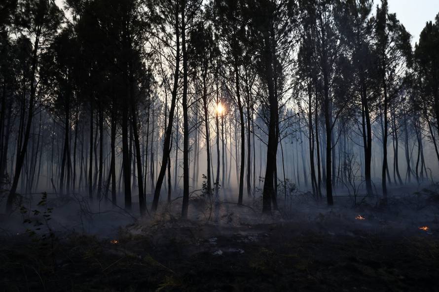 storyeditor/2026-07-24/2026-07-23t191138z-1755089172-rc2ujma52uvs-rtrmadp-3-europe-weather-france-wildfire.jpg