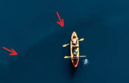 VIDEO Snimio kita u Karinskom moru: 'Prošao je ispod našeg kanua, bio je veći od kamiona'