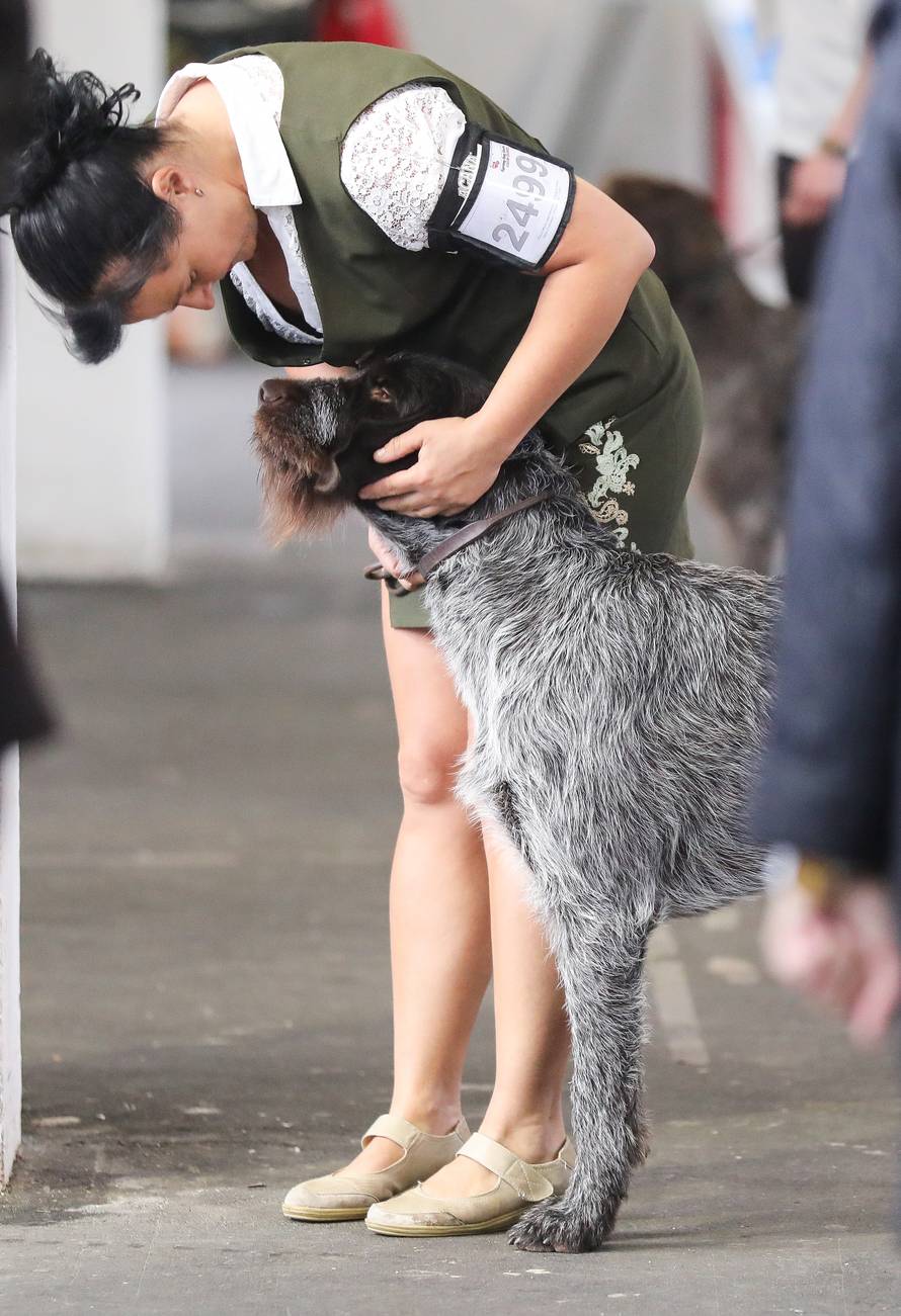 Zagreb: Svjetska izložba pasa na Velesajmu