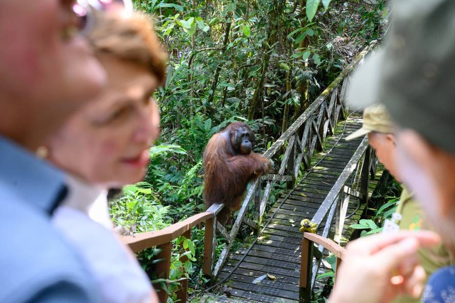 Federal President Steinmeier in Malaysia