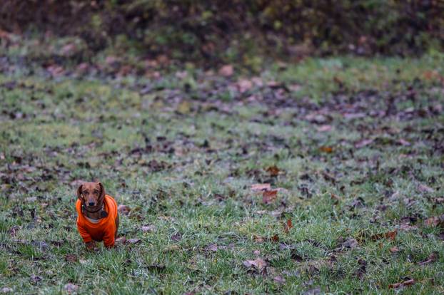 Zagreb: Danas u 16:03 je službeni početak zime
