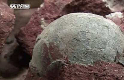 Radnici u Kini kopali cestu pa našli čak 43 dinosaurova jaja