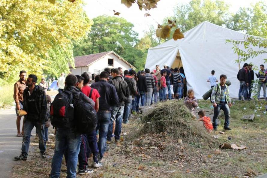 Marko Mrkonjić/PIXSELL