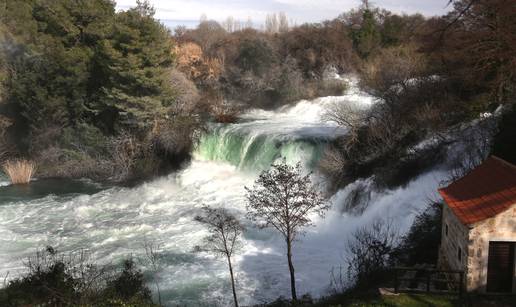 U NP Krka živi 43 vrste vretenca - oni su dokaz da je priroda čista