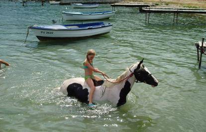 Na izletu kraj Pule i kupanje s konjima