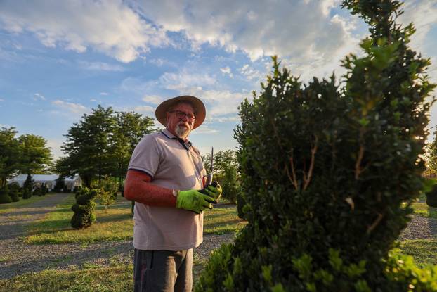 Bajkoviti vrt u srcu Međimurja: Prvi i jedini Topiary park u Hrvatskoj krije se u Sračincu