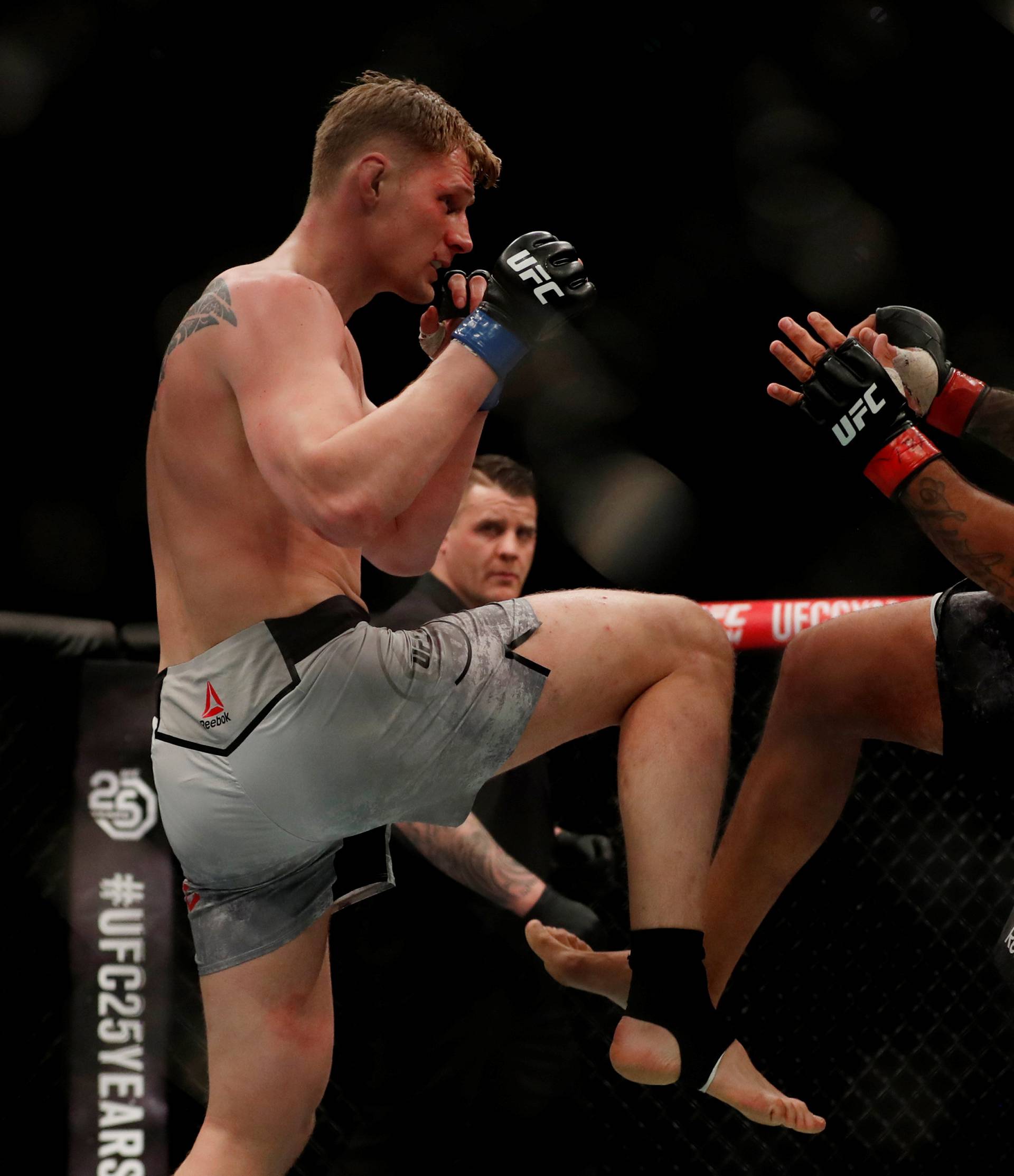 UFC Fight Night - Fabricio Werdum vs Alexander Volkov