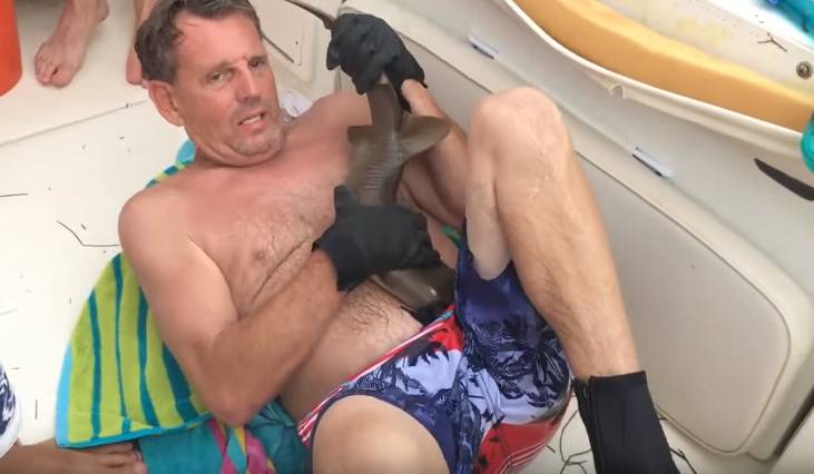 Muškarca zagrizao morski pas, morali ga ubiti da bi ga pustio