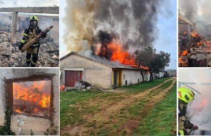 Kod Rovinja netko je namjerno zapalio staru farmu pilića koja je u potpunosti izgorjela