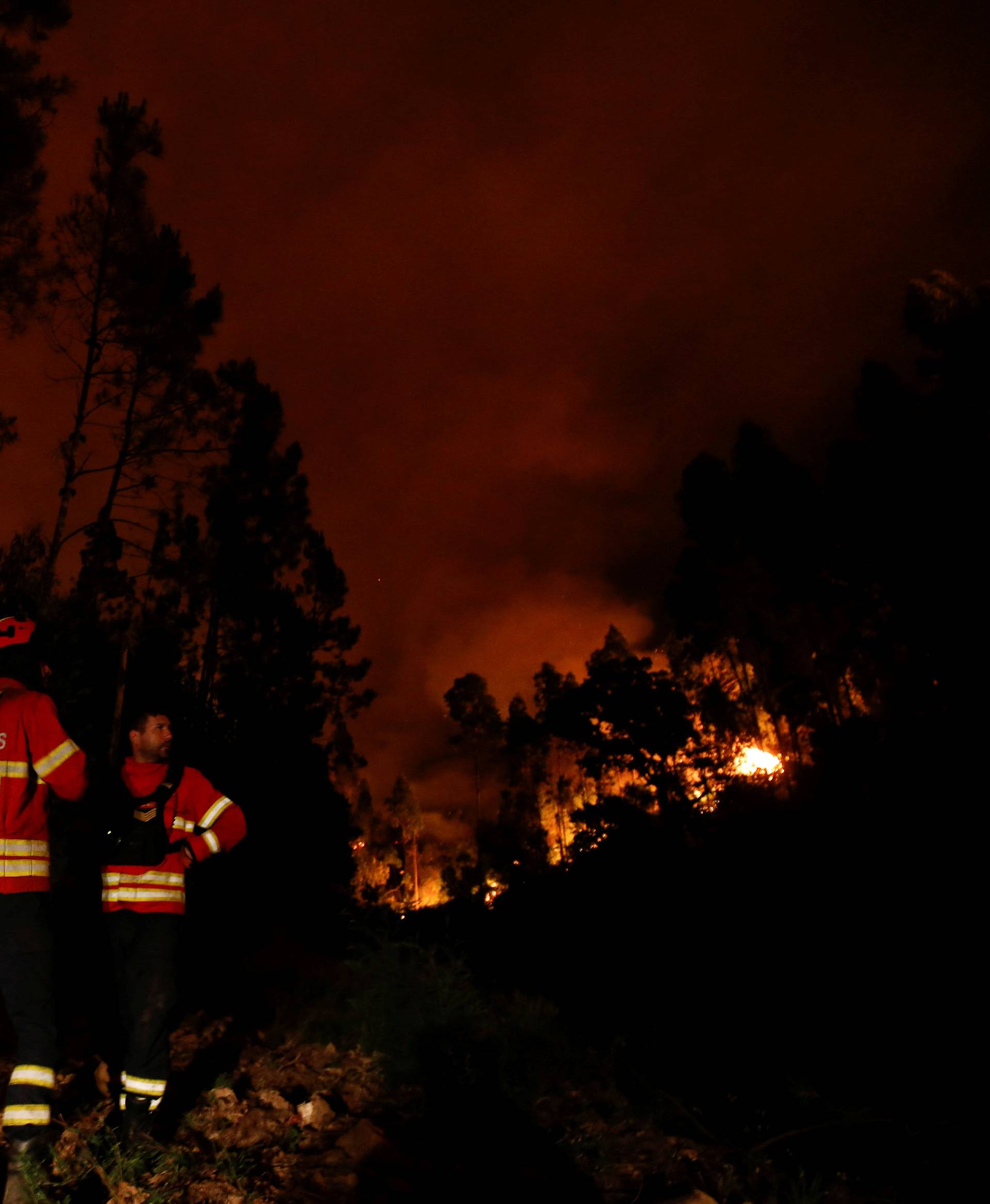 Firefighters work to put out a forest fire near Bouca in central Portugal