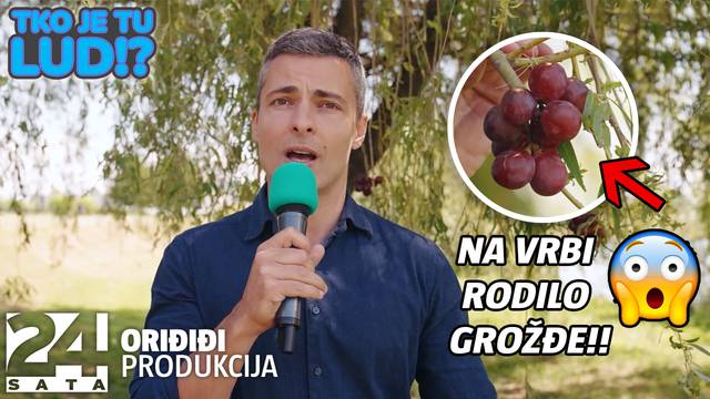 Potreseni stanovnici sela Donja Gemiština: U showu 'Tko je tu lud!?' na vrbi je rodilo grožđe