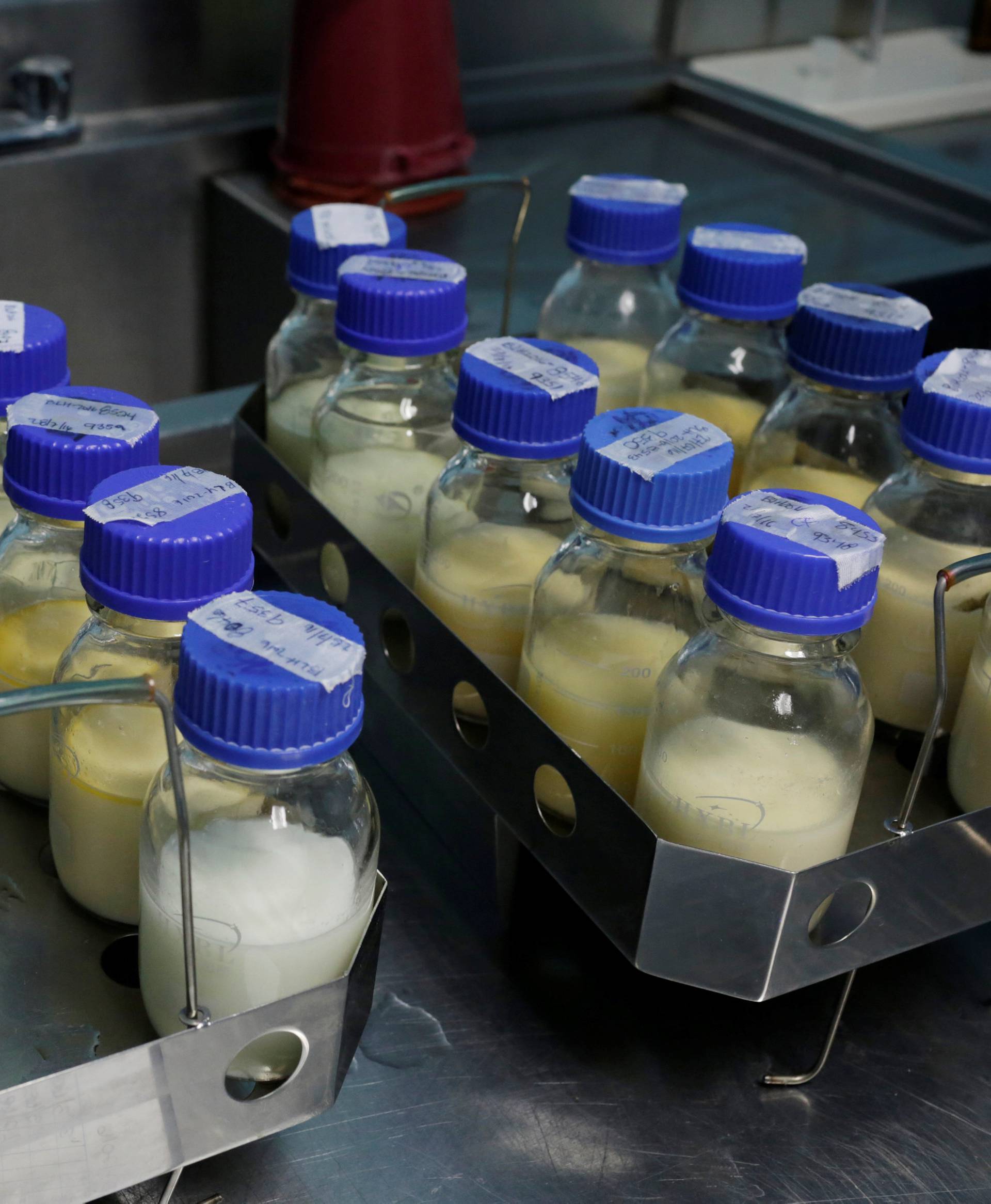 A nurse examines bottles of breast milk donated by nursing mothers at the human milk bank at the San Juan de Dios hospital in Guatemala City