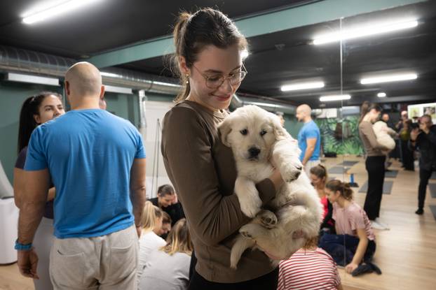 24SATA Paw Yoga, inovativni koncept joge koji je stigao u Hrvatsku