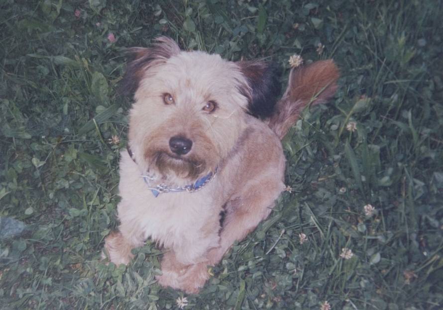 Davor Višnjić/PIXSELL