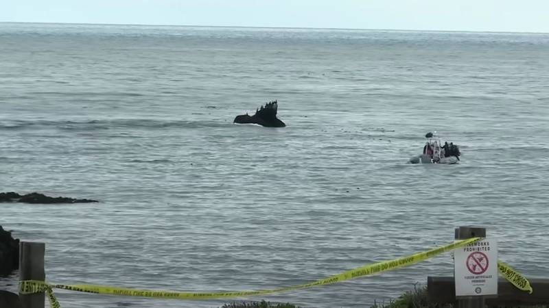 V Kaliforniji strmoglavilo letalo, trije mrtvi