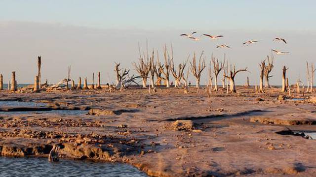 Dosad neviđeni toplinski val hara Argentinom: Temperature ne prestaju rasti, uništeni usjevi