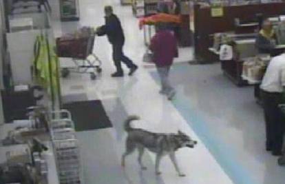 Pas ušetao u supermarket, uzeo si kost i mirno otišao