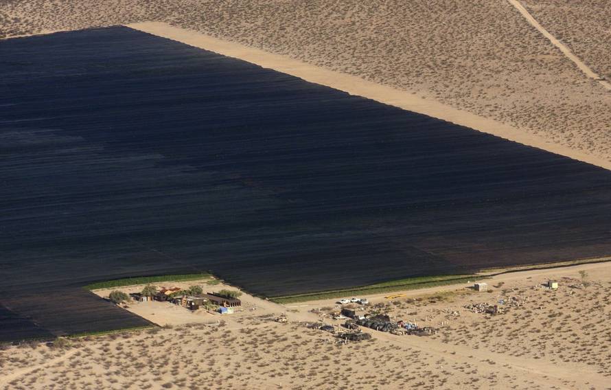 REUTERS/PXL