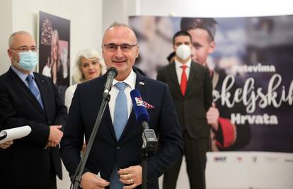 Grlić Radman: Primanje RH u Vijeće Europe je bilo postignuće