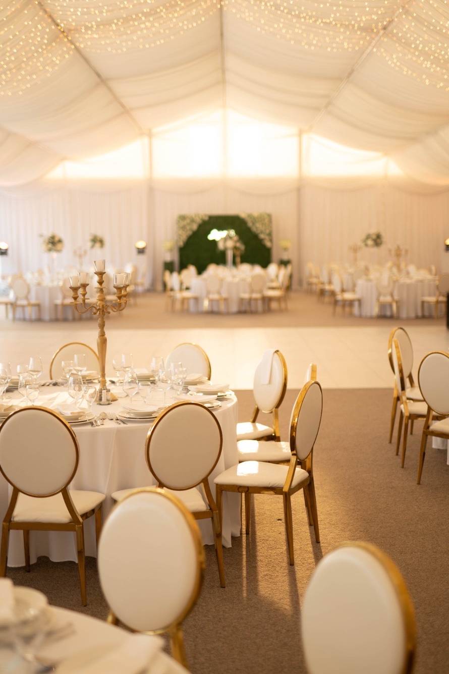 Najomiljeniji svadbeni bend – Grupa Profeel - predstavila novitete za svadbe  u 2025.