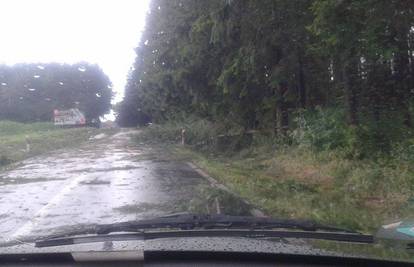 Kataklizma u Požegi: Vjetar je čupao stabla, kiša sve poplavila