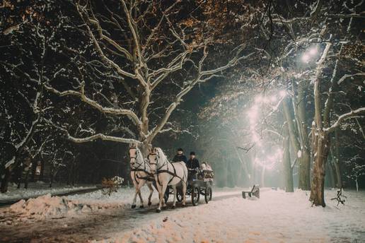 Advent u Slavoniji i Baranji: Bal lipicanaca, virtualne igre...