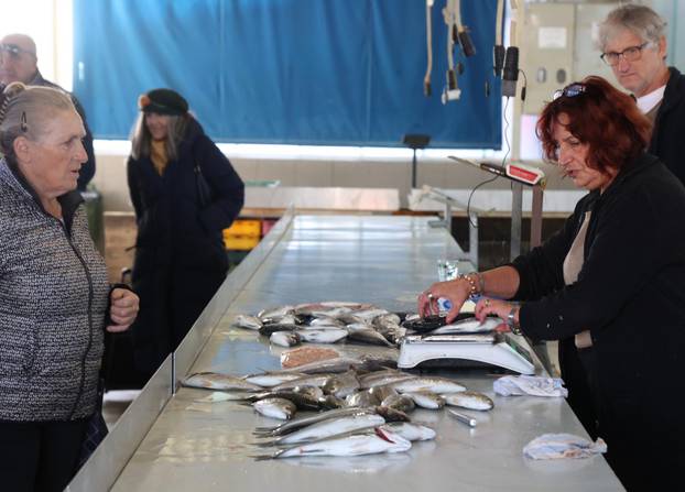 Šibenik: Ponuda ribe u šibenskoj ribarnici