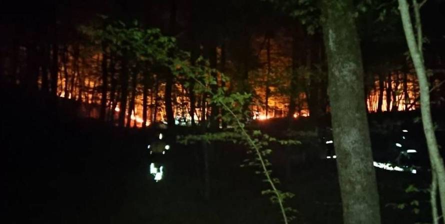 Vidjeli piromana kako podmeće požar, opet gorjelo kod Požege!