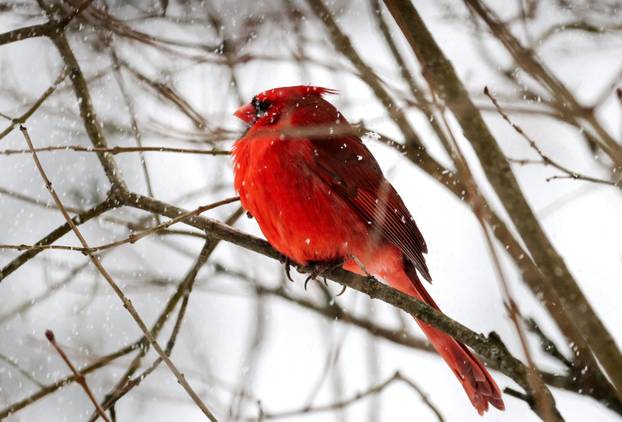 Winter storm spreads across a large swath of the United States