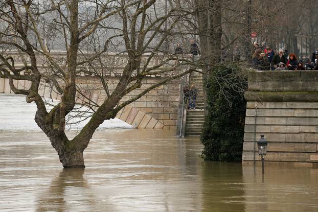 A street lamp and a tree are seen on the flooded banks of the River Seine in Paris