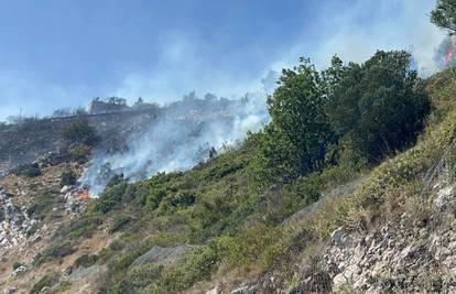Gori iznad Dubrovnika: Vatra se brzo širi, na terenu vatrogasci. Poslali su i dva kanadera