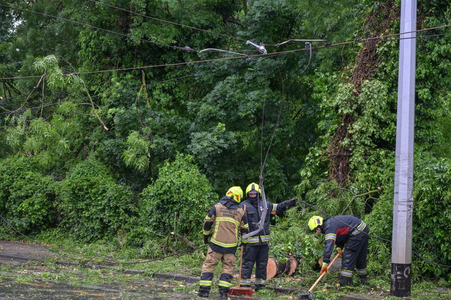 Zagreb: Palo stablo na Maksimirskoj, blokiran promet, vatrogasci na terenu