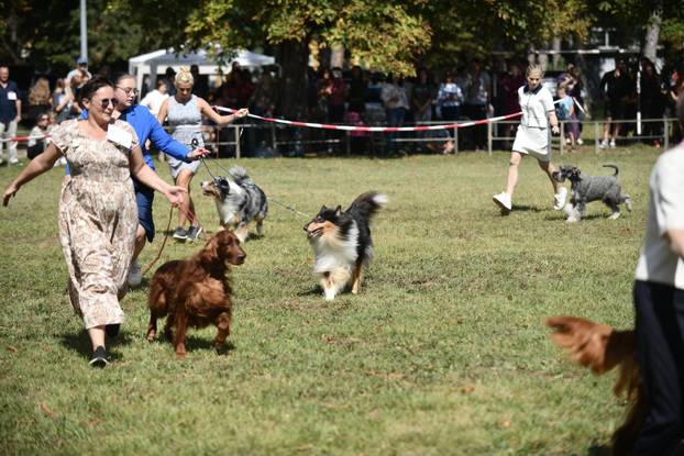 Nacionalna izložba pasa "Velika Gorica Trophy 2025"